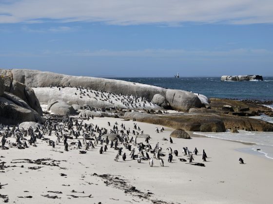 Смартфон Realme GT8 Pro &mdash; флагман с зумом | DGL.RU