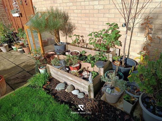 Смартфон RugOne Xever 7 Pro переоценён | DGL.RU