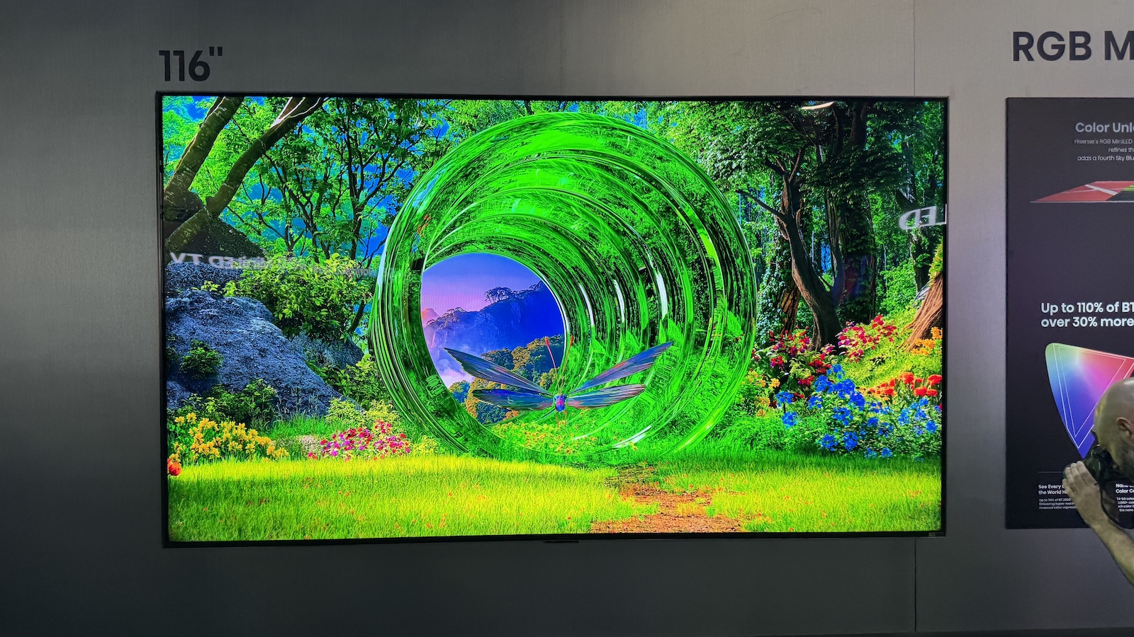 Телевизор Hisense 116UXS с RGB Mini LED Evo | DGL.RU