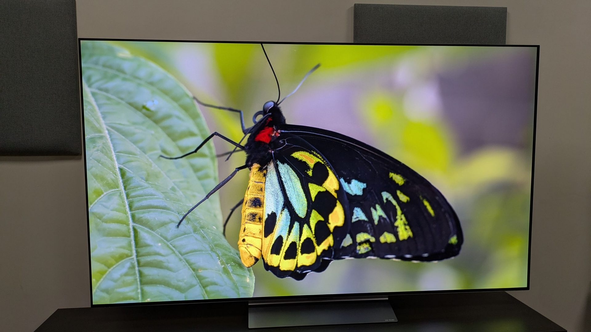 Обзор LG C6: самый ожидаемый телевизор 2026 года картинка Телевизор LG C6 OLED с Tandem OLED и Alpha 11 | DGL.RU