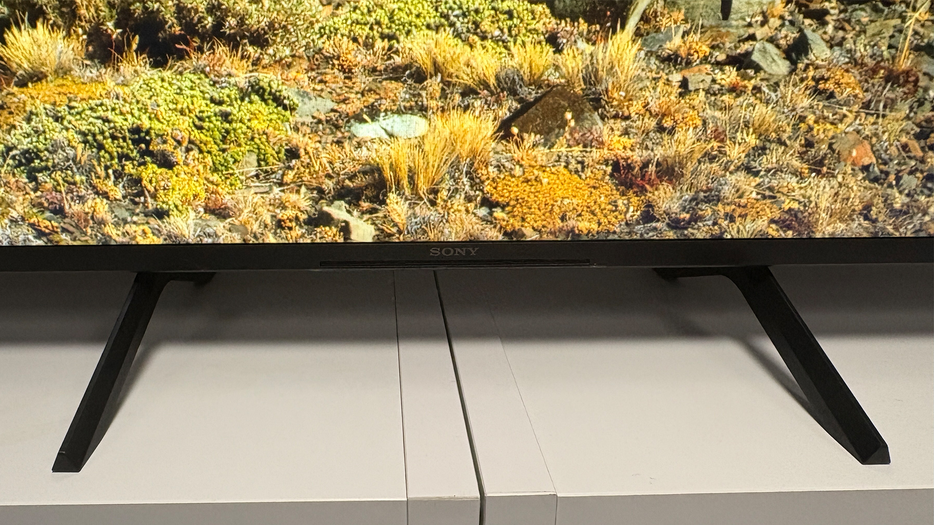 Телевизор Sony Bravia 3: бюджетная модель | DGL.RU