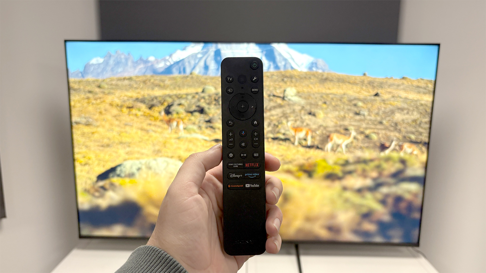 Телевизор Sony Bravia 3: бюджетная модель | DGL.RU