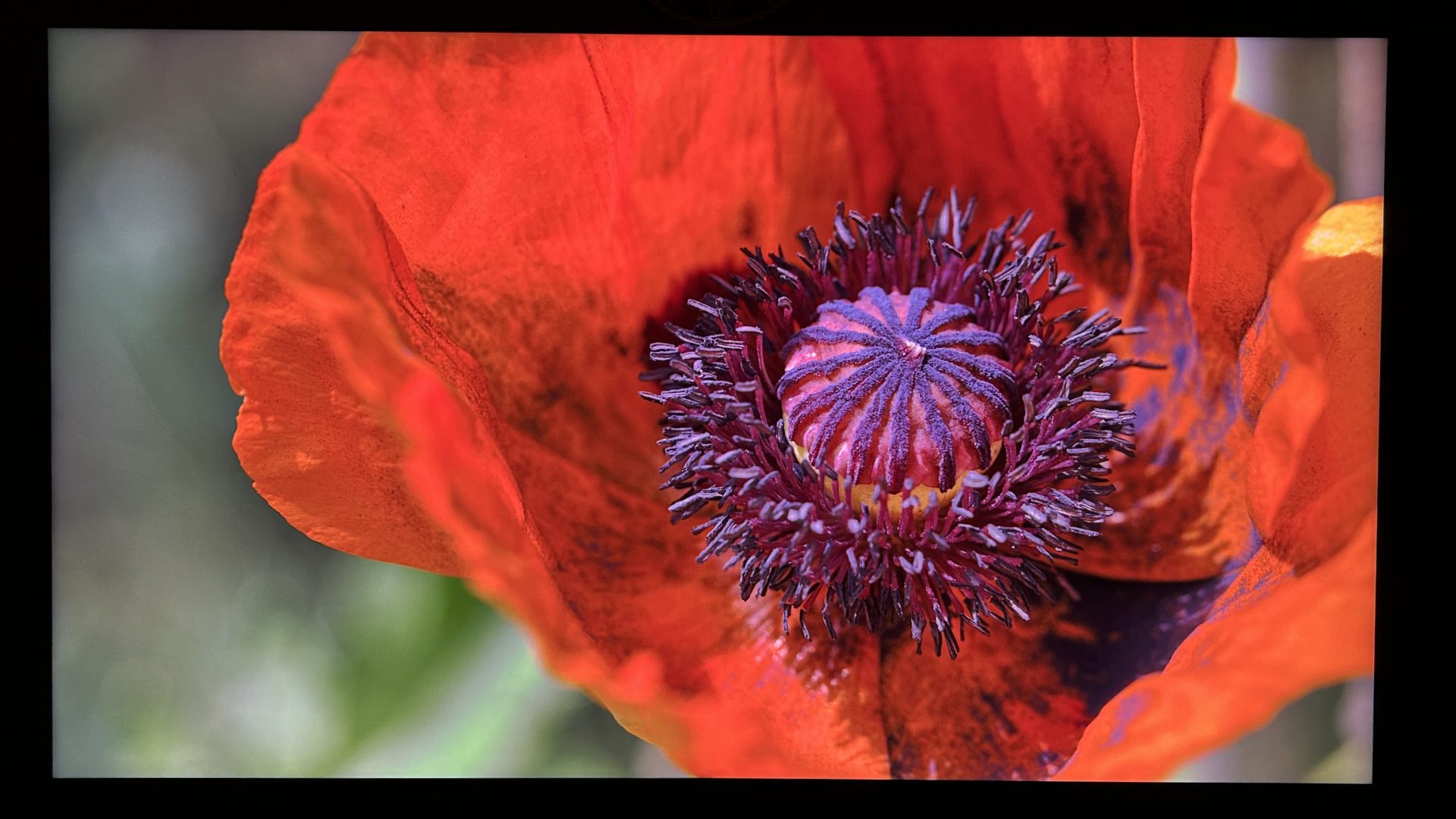 Обзор TCL C855: играйте по-крупному картинка Телевизор TCL C855 Mini-LED для кино и игр | DGL.RU