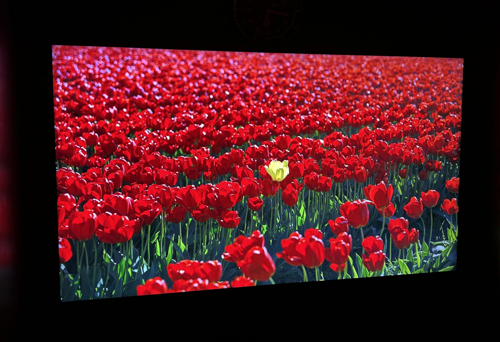 Обзор TCL C855: играйте по-крупному картинка Телевизор TCL C855 Mini-LED для кино и игр | DGL.RU