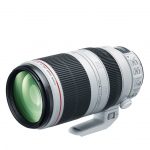 Canon EF 100-400mm f/4.5-5.6L IS II USM