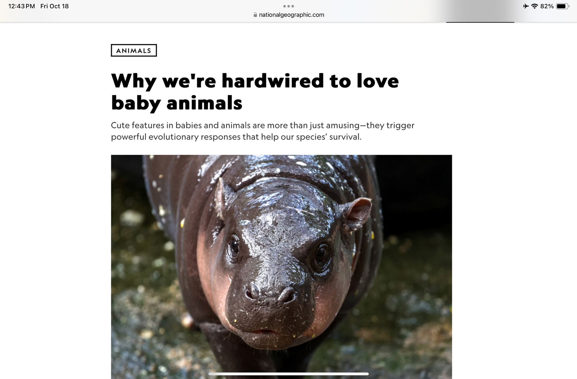 iPad mini 8,3 дюйма (2024)