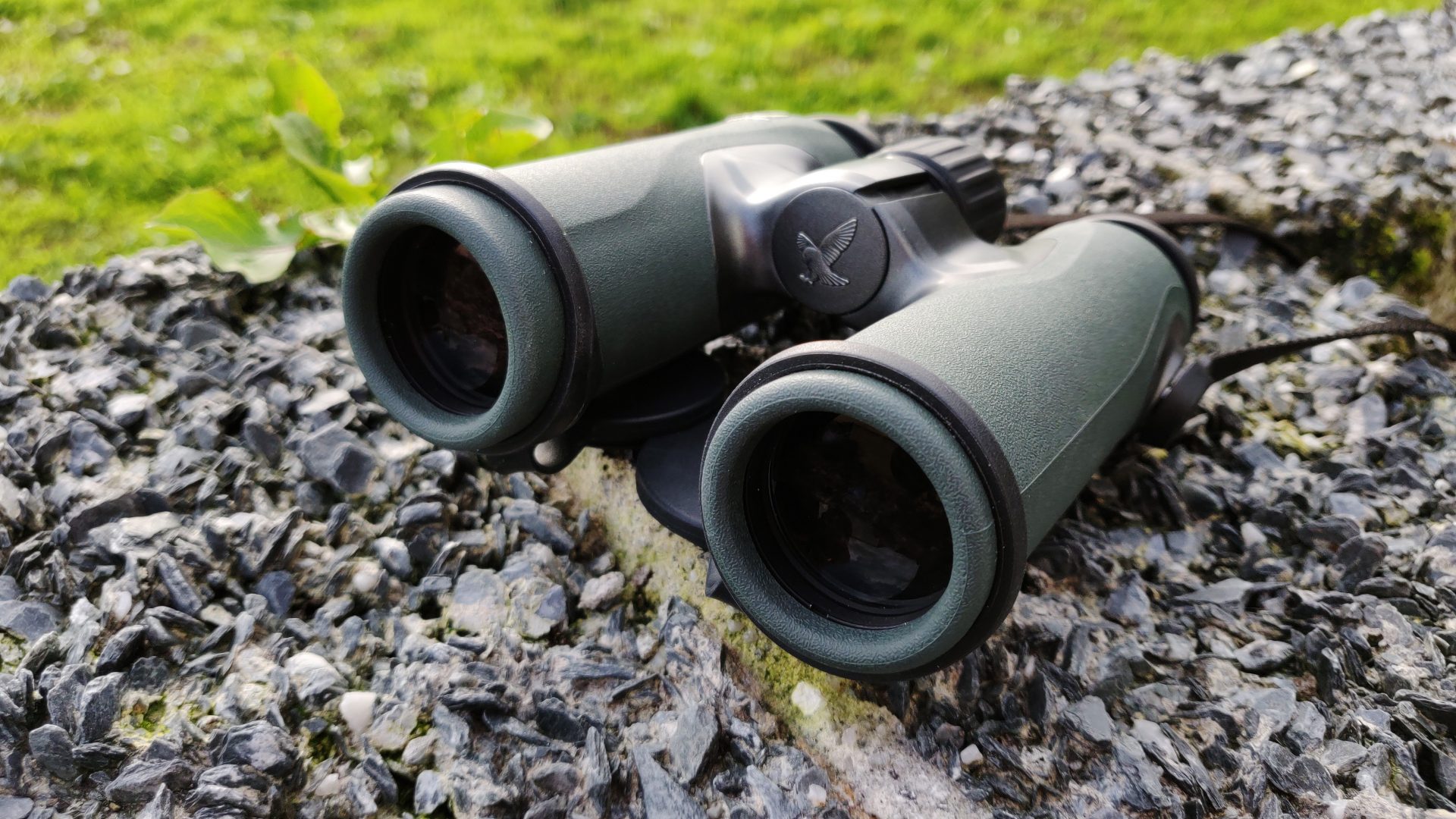 Swarovski CL Companion 10x30