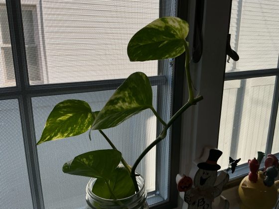 iPad mini 8,3 дюйма (2024)