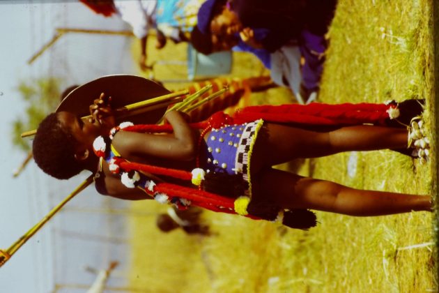 HP FilmScan 5&rdquo; Touch Screen Film Scanner