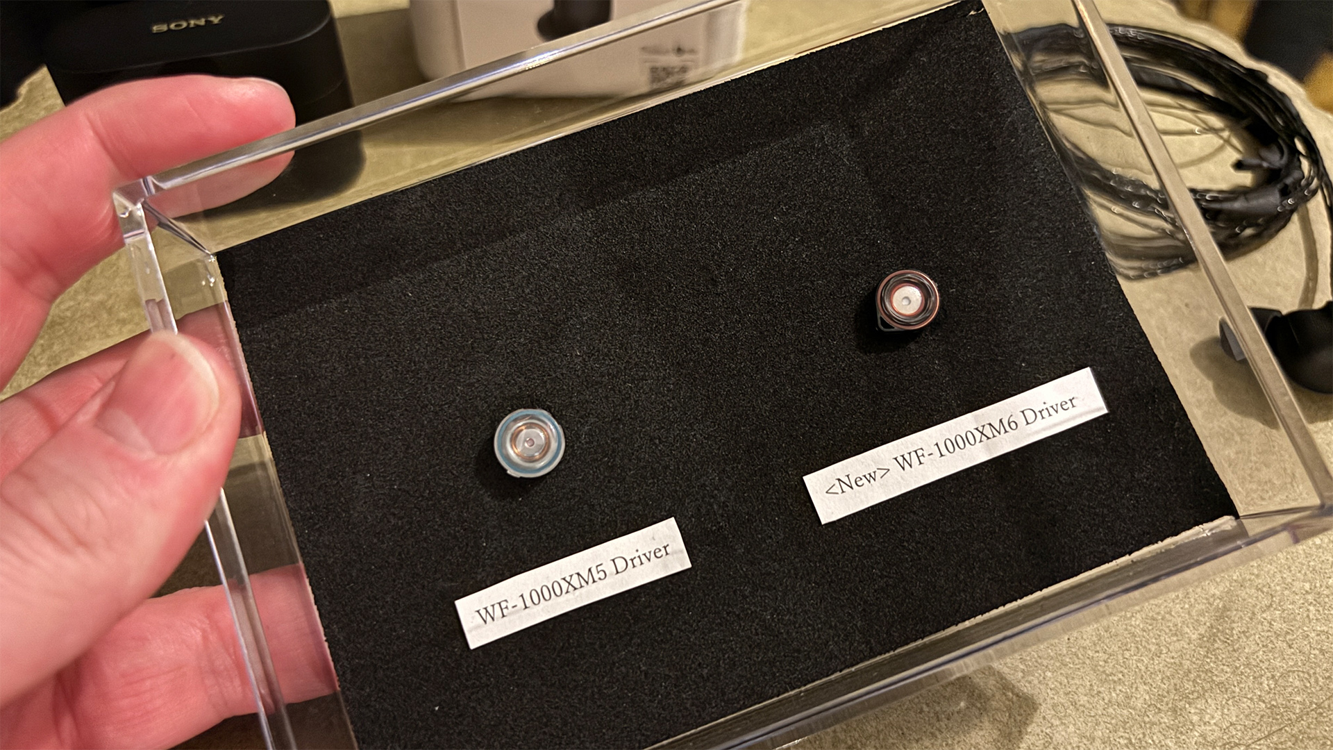 Беспроводные наушники Sony WF-1000XM6 | DGL.RU