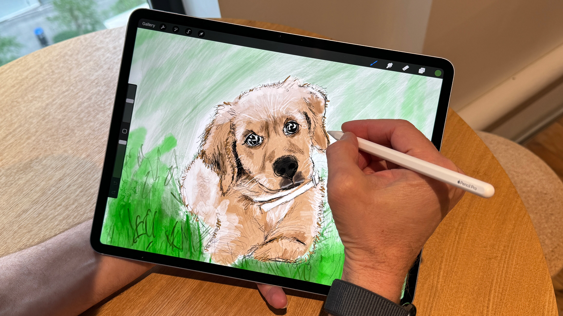 Графический планшет Wacom Cintiq и iPad Pro | DGL.RU