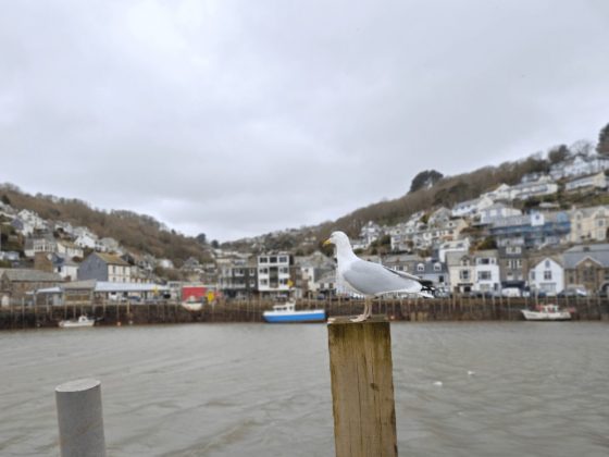 Игровой смартфон Redmagic 11 Air для игр в дороге | DGL.RU