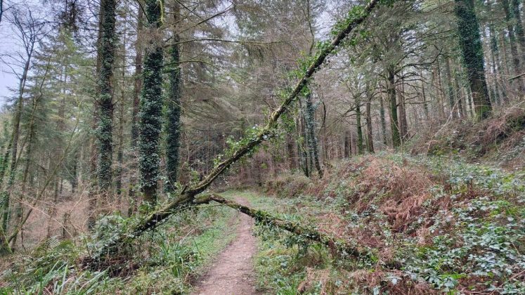 Игровой смартфон Redmagic 11 Air для игр в дороге | DGL.RU