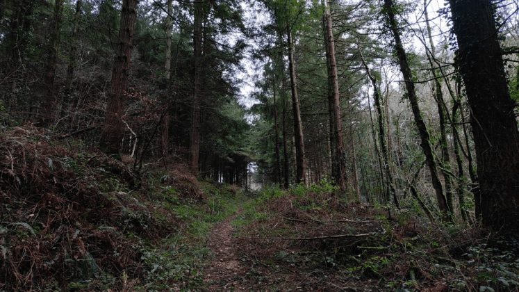 Игровой смартфон Redmagic 11 Air для игр в дороге | DGL.RU