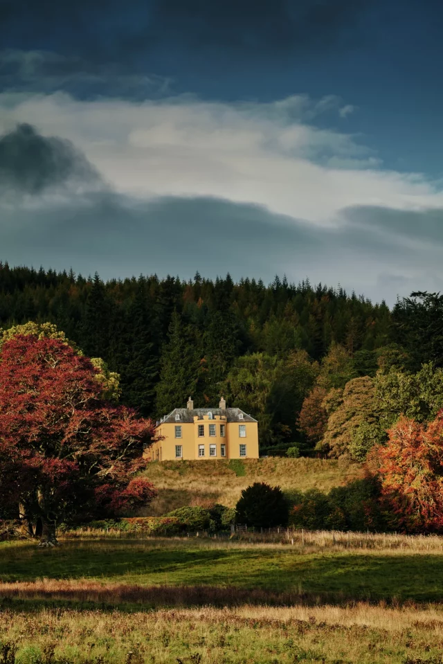 Шотландский стиль интерьера: тартан и рога | DGL.RU