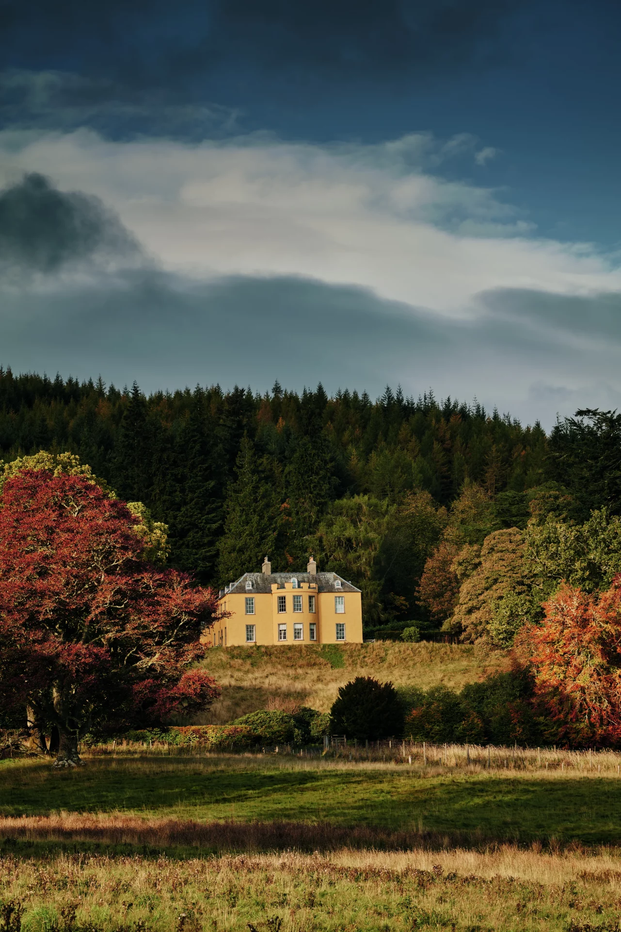 Интерьер в шотландском стиле: почему мы до сих пор одержимы клеткой и рогами на стенах