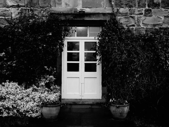 Обзор Canon PowerShot — компактные камеры живы! фото