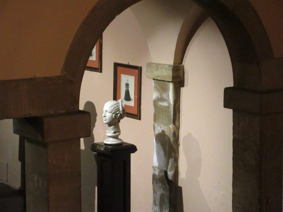 Обзор Canon PowerShot — компактные камеры живы! фото