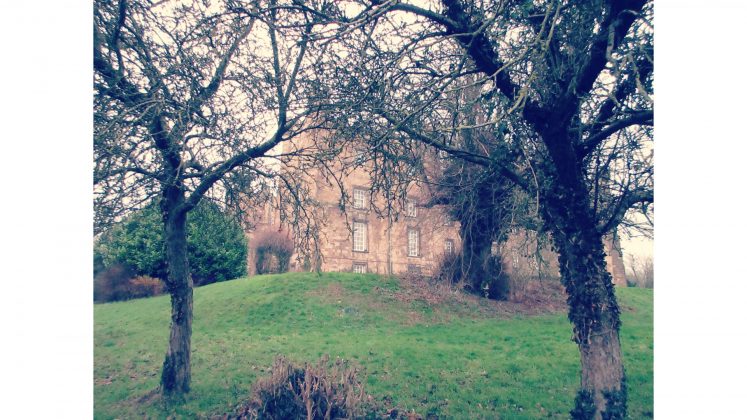 Камера Canon PowerShot Elph 360 HS A | DGL.RU