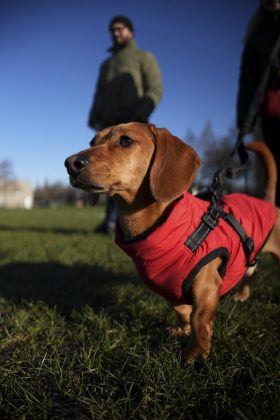 Объектив Sigma 17&ndash;40mm f/1.8 DC Art рвет фиксы | DGL.RU