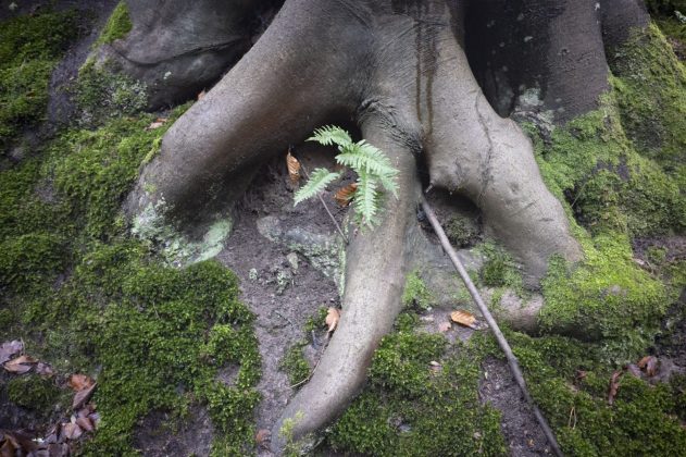 Объектив Viltrox AF 28mm f/4.5 с характером | DGL.RU