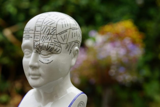 Объектив Viltrox AF 56mm f/1.2 Pro для портретов | DGL.RU