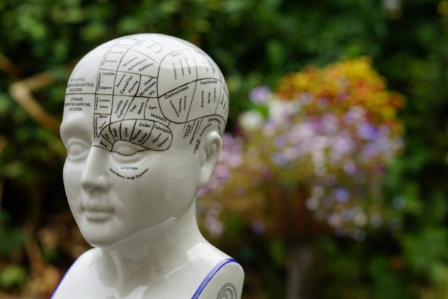 Объектив Viltrox AF 56mm f/1.2 Pro для портретов | DGL.RU