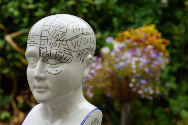 Объектив Viltrox AF 56mm f/1.2 Pro для портретов | DGL.RU