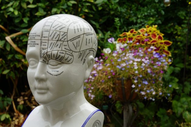 Объектив Viltrox AF 56mm f/1.2 Pro для портретов | DGL.RU