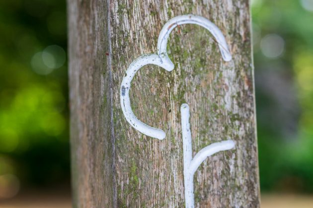 Объектив Viltrox AF 56mm f/1.2 Pro для портретов | DGL.RU