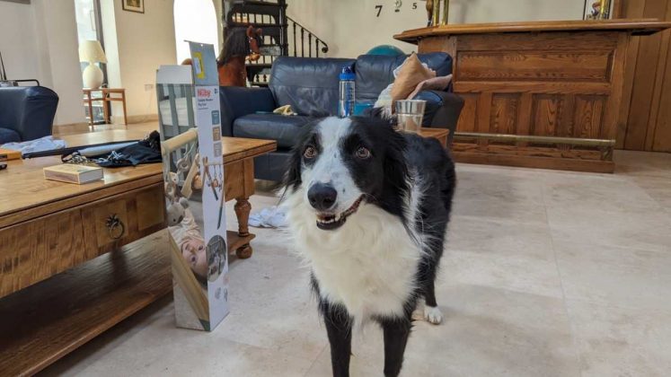 Планшет Google Pixel Tablet получил обновления | DGL.RU