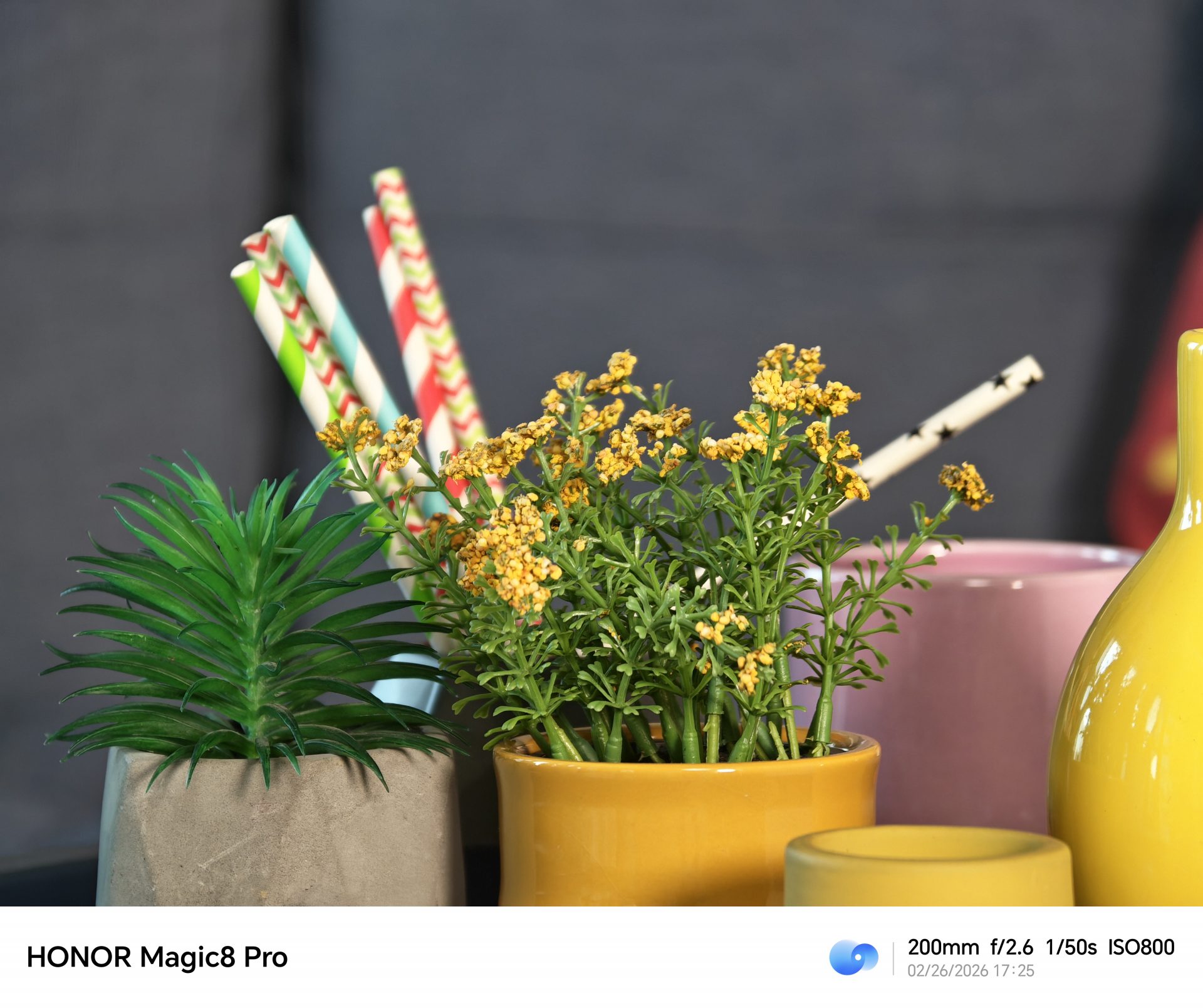 Смартфон Honor Magic8 Pro превращается в зеркалку: обзор профессионального фотокомплекта Professional Imaging Kit картинка Смартфон Honor Magic8 Pro с фотокомплектом | DGL.RU