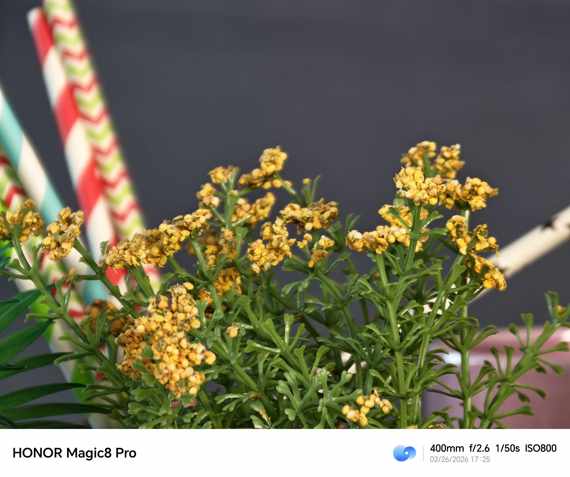 Смартфон Honor Magic8 Pro превращается в зеркалку: обзор профессионального фотокомплекта Professional Imaging Kit картинка Смартфон Honor Magic8 Pro с фотокомплектом | DGL.RU