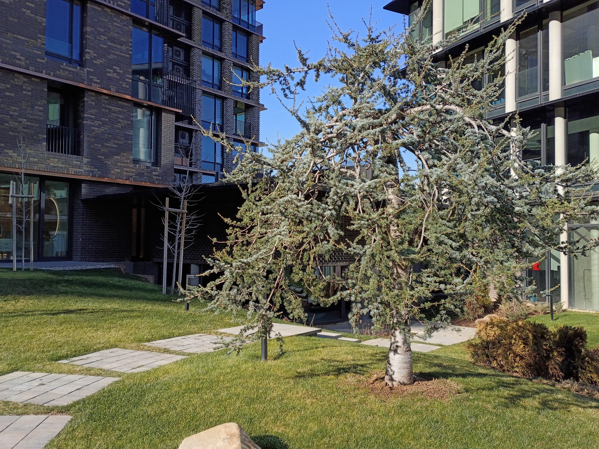 Обзор Moto G и G Play (2026): ключевые различия картинка Смартфон Moto G (2026) — батарея решает | DGL.RU