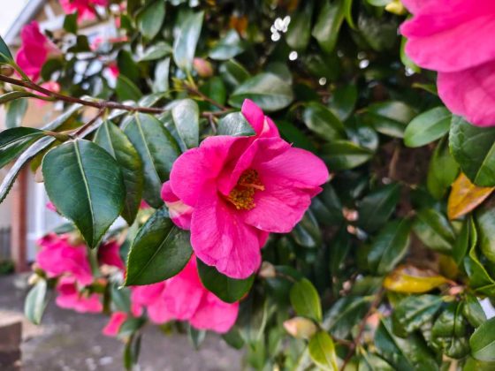 Смартфон Poco M8 Pro &mdash; ему тесно в классе | DGL.RU