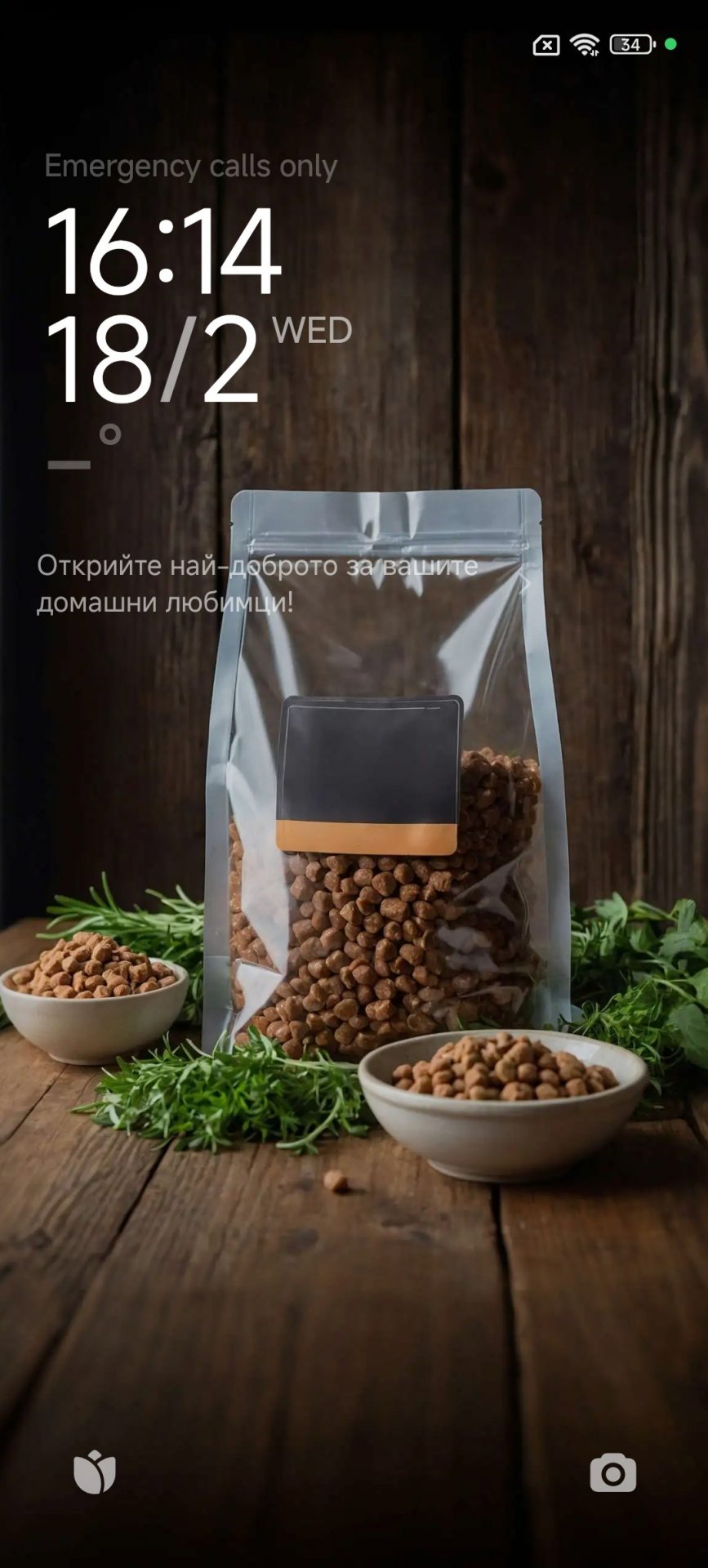 Обзор Poco M8 5G: максимум за свои деньги картинка Смартфон Poco M8 — ставка на экран и баланс | DGL.RU