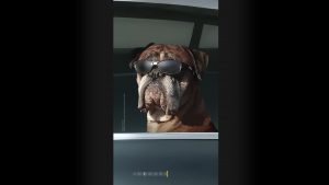 Смартфон Samsung Galaxy S26 на подходе: корейцы обещают нереальный зум и видео в полной темноте