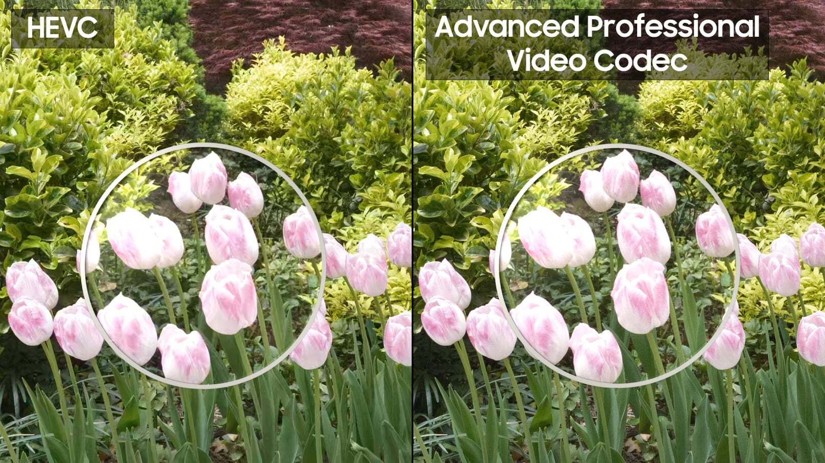 Смартфон Galaxy S26 Ultra: APV против ProRes | DGL.RU