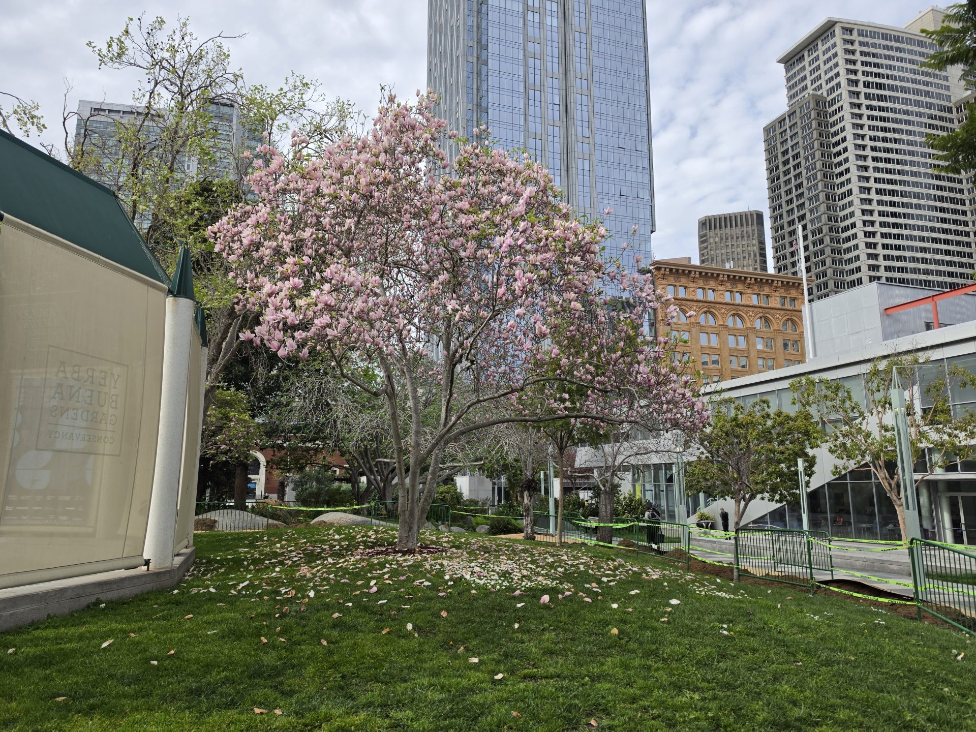 Обзор Samsung Galaxy S26 Ultra, S26 Plus и S26: сравнение и цены в России картинка Смартфон Samsung Galaxy S26 Ultra: ставка на ИИ | DGL.RU