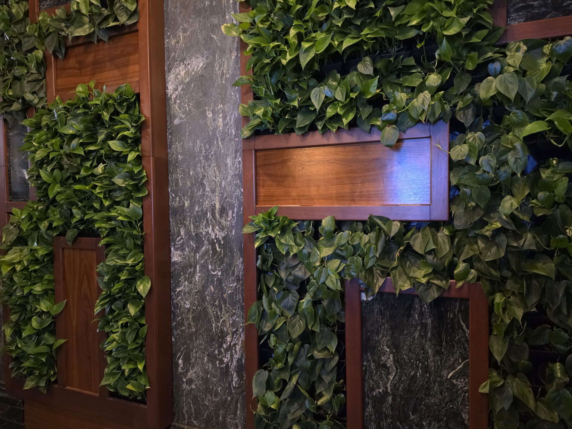 Обзор Samsung Galaxy S26 Ultra, S26 Plus и S26: сравнение и цены в России картинка Смартфон Samsung Galaxy S26 Ultra: ставка на ИИ | DGL.RU