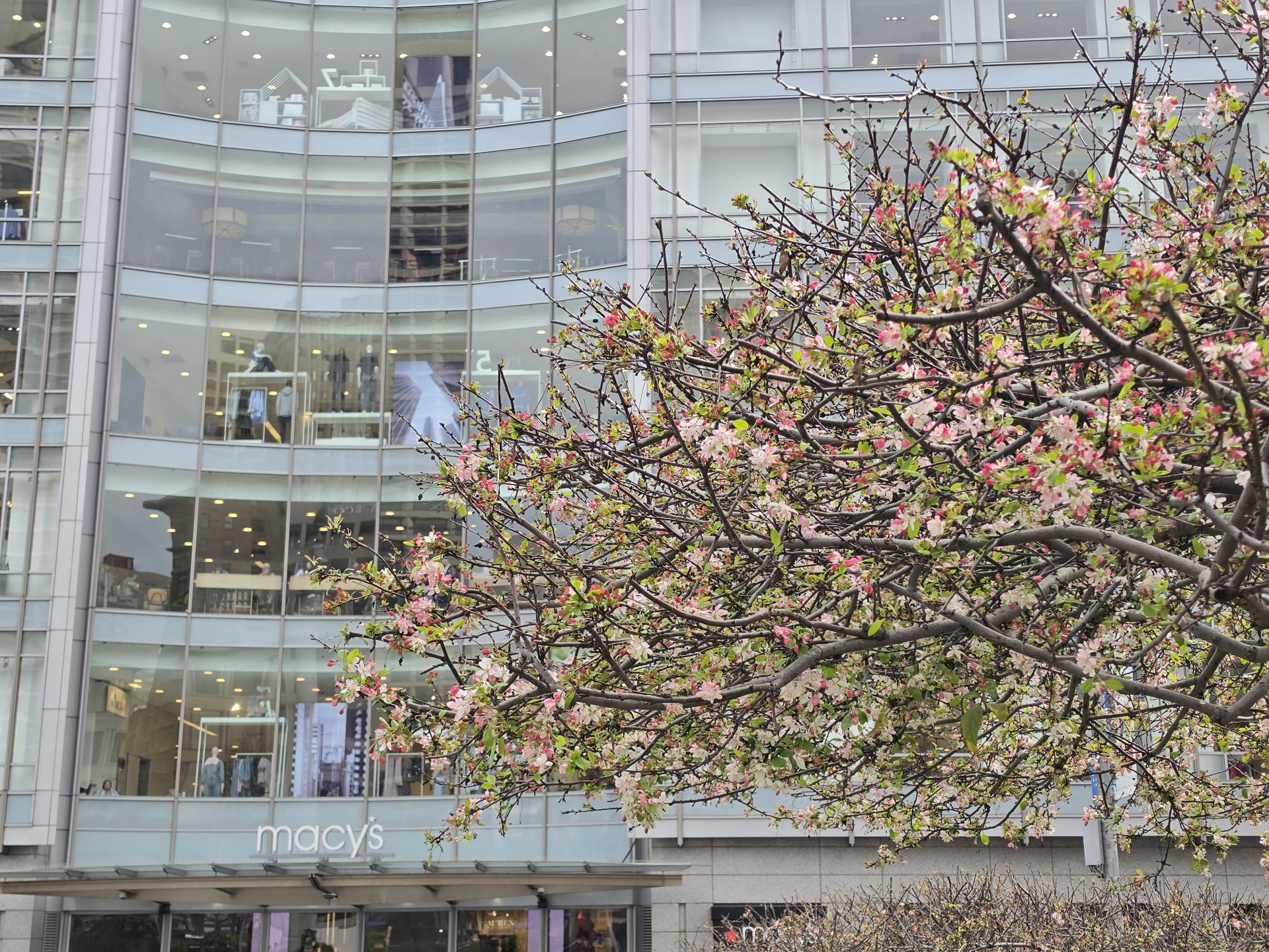 Обзор Samsung Galaxy S26 Ultra, S26 Plus и S26: сравнение и цены в России картинка Смартфон Samsung Galaxy S26 Ultra: ставка на ИИ | DGL.RU