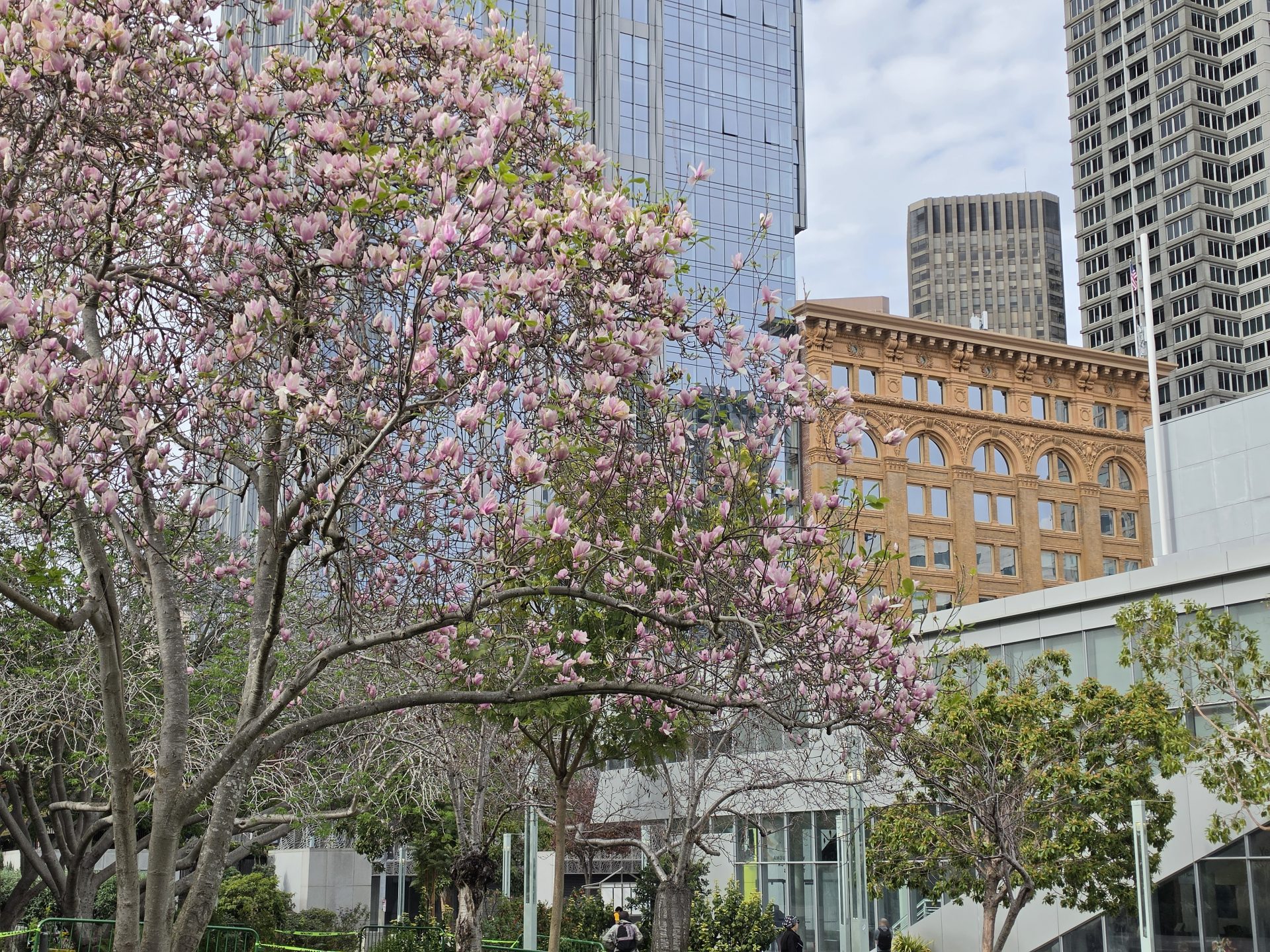 Обзор Samsung Galaxy S26 Ultra, S26 Plus и S26: сравнение и цены в России картинка Смартфон Samsung Galaxy S26 Ultra: ставка на ИИ | DGL.RU