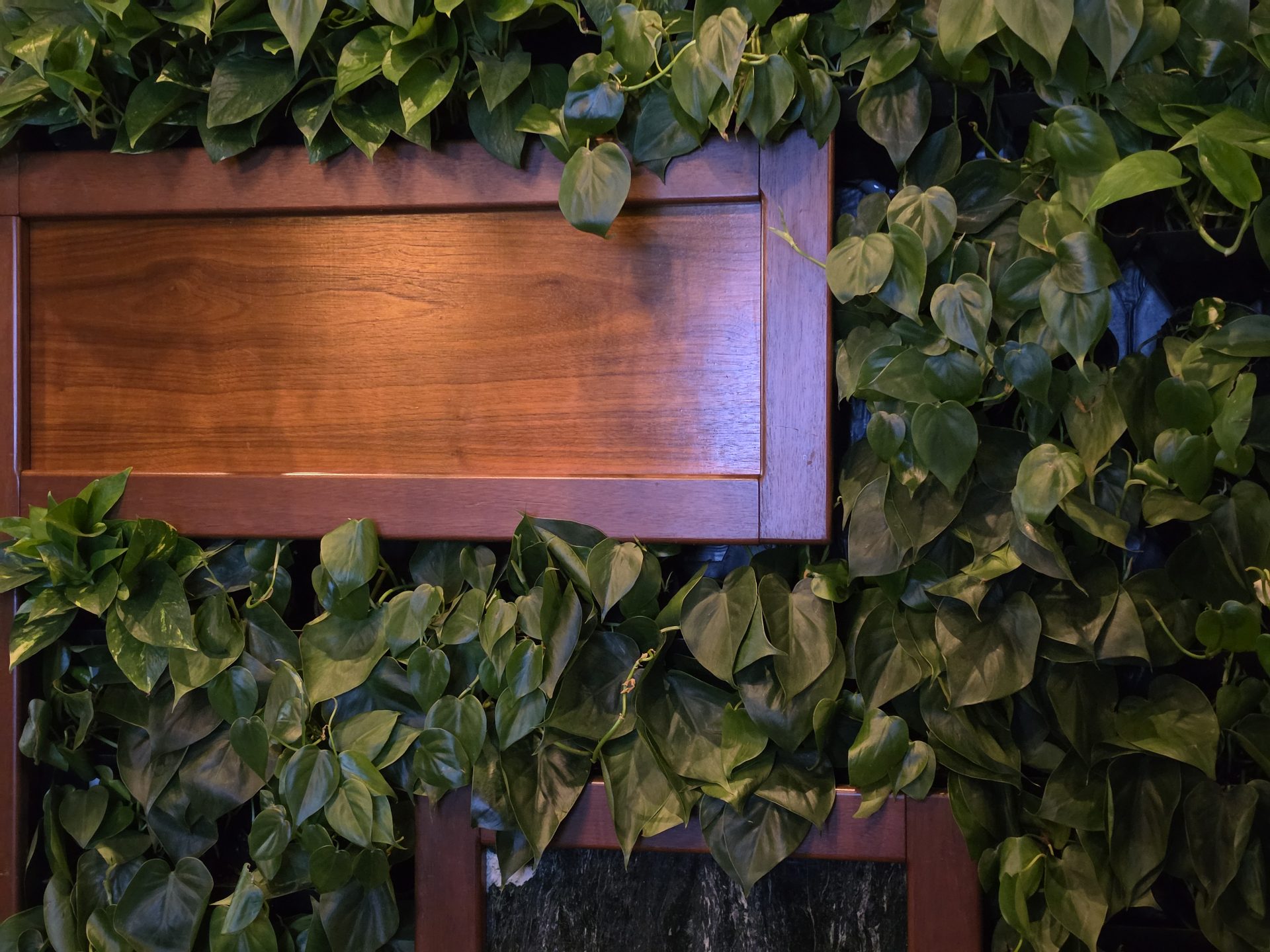 Обзор Samsung Galaxy S26 Ultra, S26 Plus и S26: сравнение и цены в России картинка Смартфон Samsung Galaxy S26 Ultra: ставка на ИИ | DGL.RU