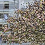 Обзор Samsung Galaxy S26 Ultra, S26 Plus и S26: сравнение и цены в России картинка Смартфон Samsung Galaxy S26 Ultra: ставка на ИИ | DGL.RU