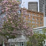 Обзор Samsung Galaxy S26 Ultra, S26 Plus и S26: сравнение и цены в России картинка Смартфон Samsung Galaxy S26 Ultra: ставка на ИИ | DGL.RU