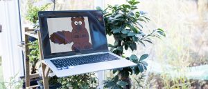 Geekom GeekBook X14 Pro — новый претендент на звание ультралегкого ноутбука