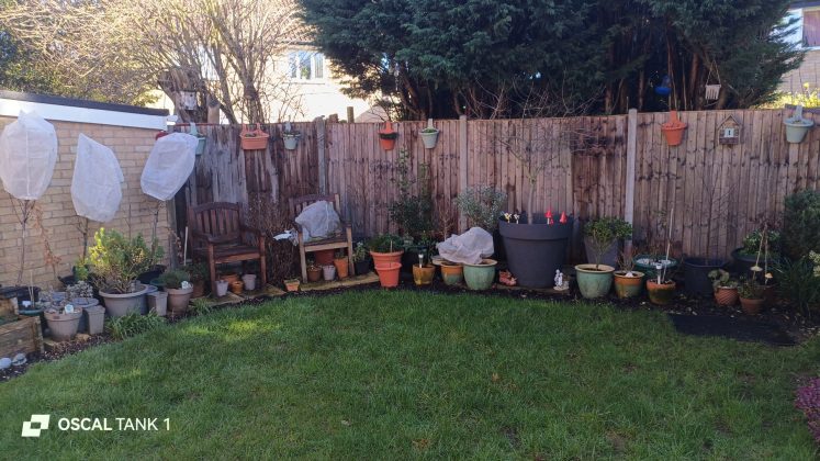 Защищённый смартфон Blackview Oscal TANK 1 | DGL.RU