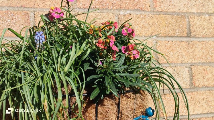 Защищённый смартфон Blackview Oscal TANK 1 | DGL.RU