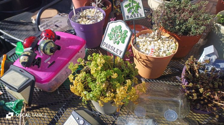 Защищённый смартфон Blackview Oscal TANK 1 | DGL.RU