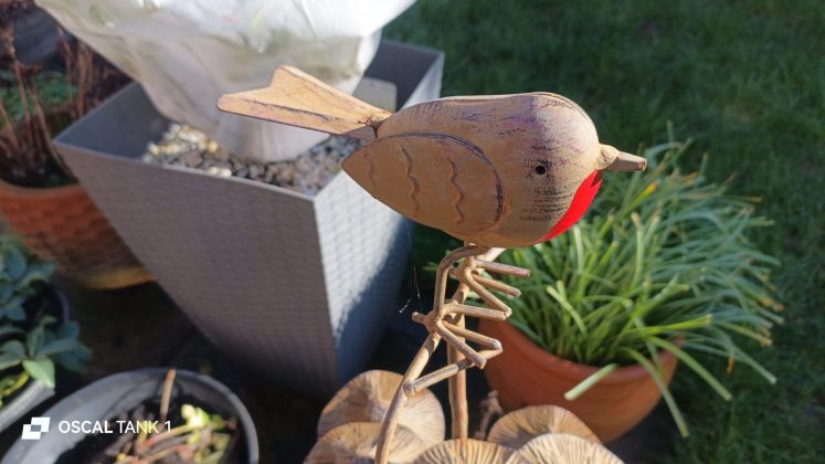 Защищённый смартфон Blackview Oscal TANK 1 | DGL.RU